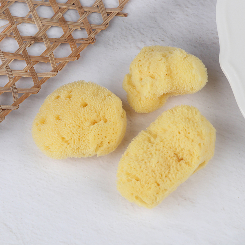 Eco Sponge - 특수 질감 생산 청소 도구 흡수성