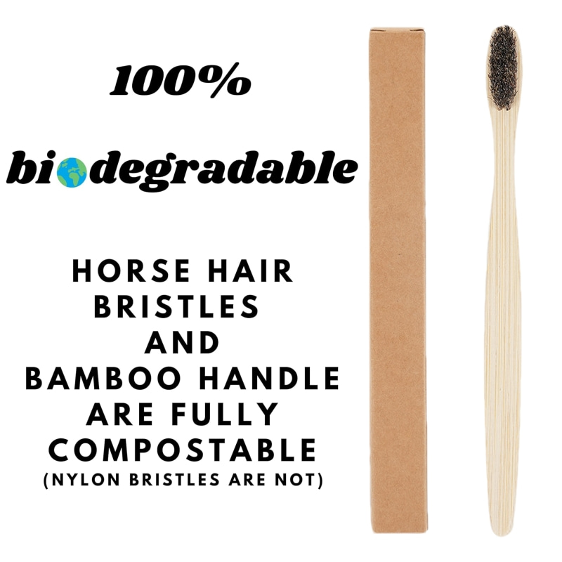 100개입 말털 칫솔, 대나무 손잡이, 천연 칫솔모,  - Bamboo Toothbrush 리뷰 및 가격