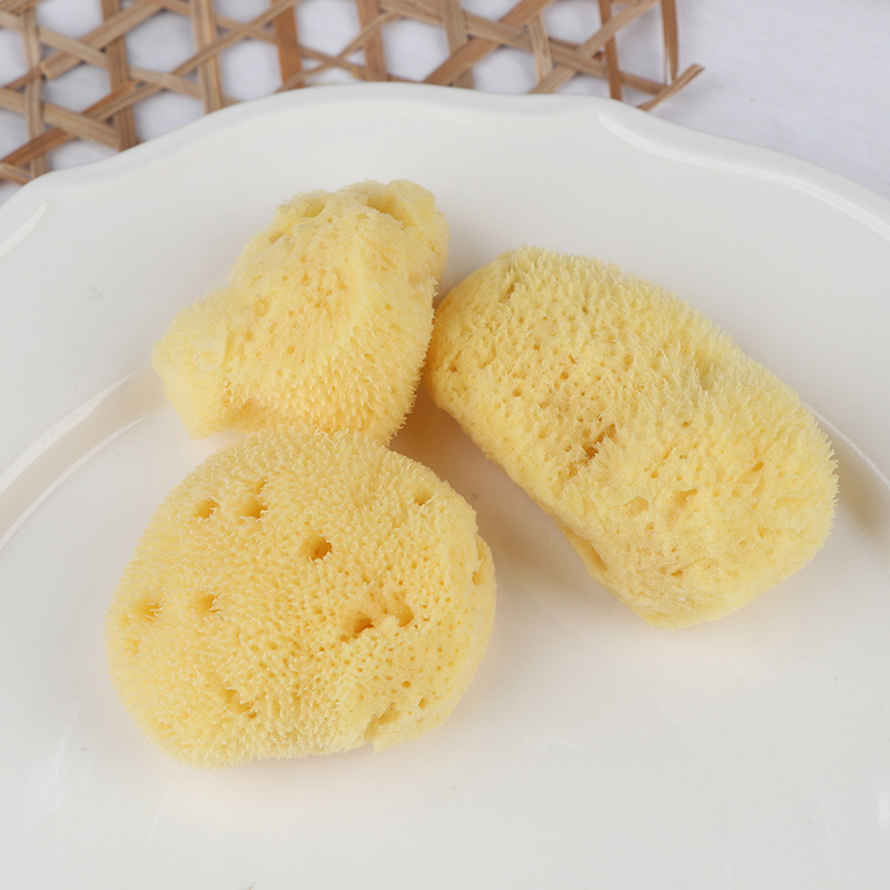 특수 질감 생산 청소 도구 흡수성 스폰지 닦는 펜 그림 - Eco Sponge 리뷰 및 가격