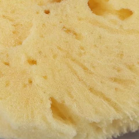 특수 질감 생산 청소 도구 흡수성 스폰지 닦는 펜 그림 - Eco Sponge 리뷰 및 가격