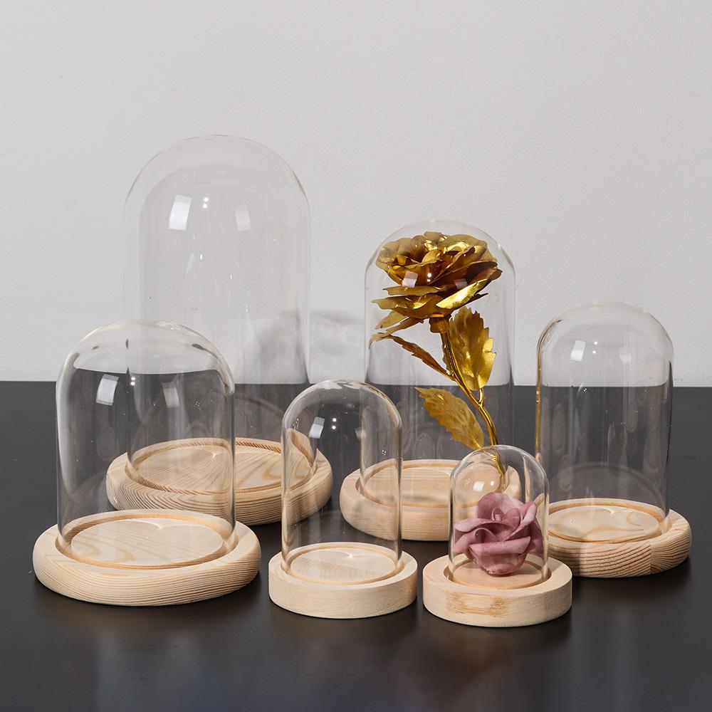 페어리 라이트 식물 투명 병 항아리 테라리움 나무 받침 - Reusable Bottle 리뷰 및 가격