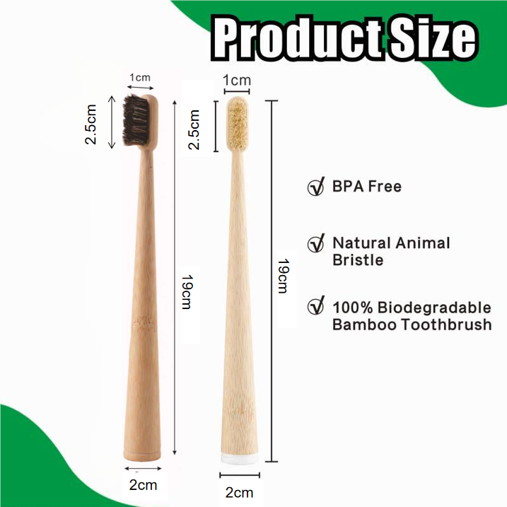 4팩 멧돼지털/말털 및 대나무 칫솔, 100% 생분해성 - Bamboo Toothbrush 리뷰 및 가격