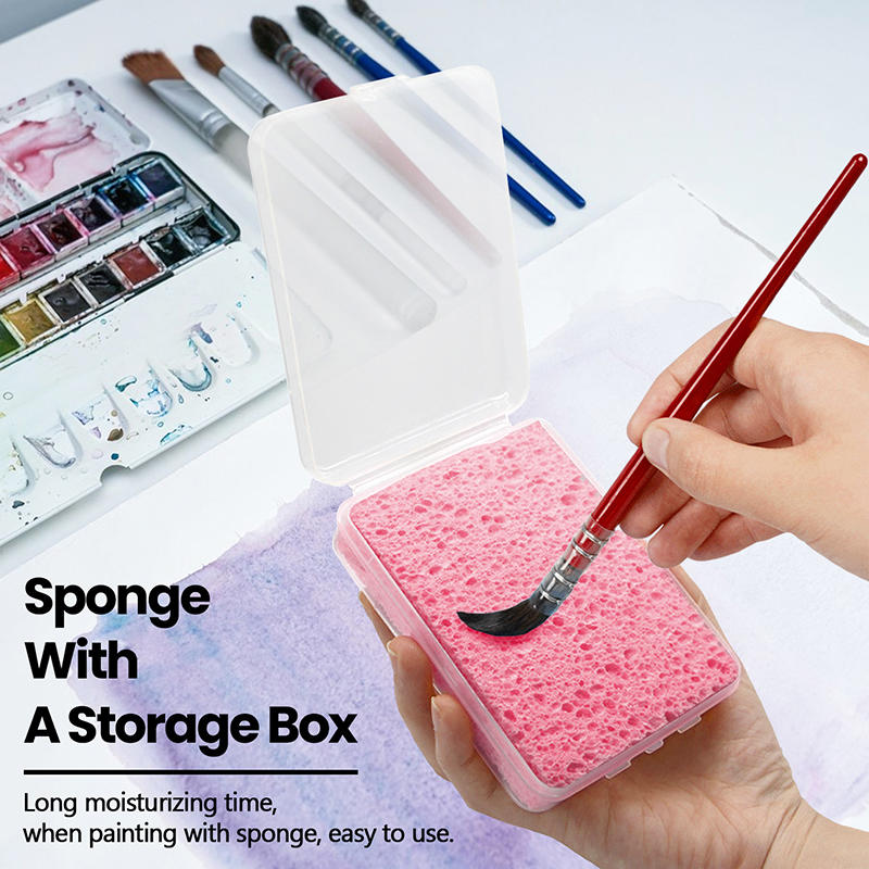 박스형 수채화 물감 그림 청소 스펀지 물 흡수 그림 스 - Eco Sponge 리뷰 및 가격