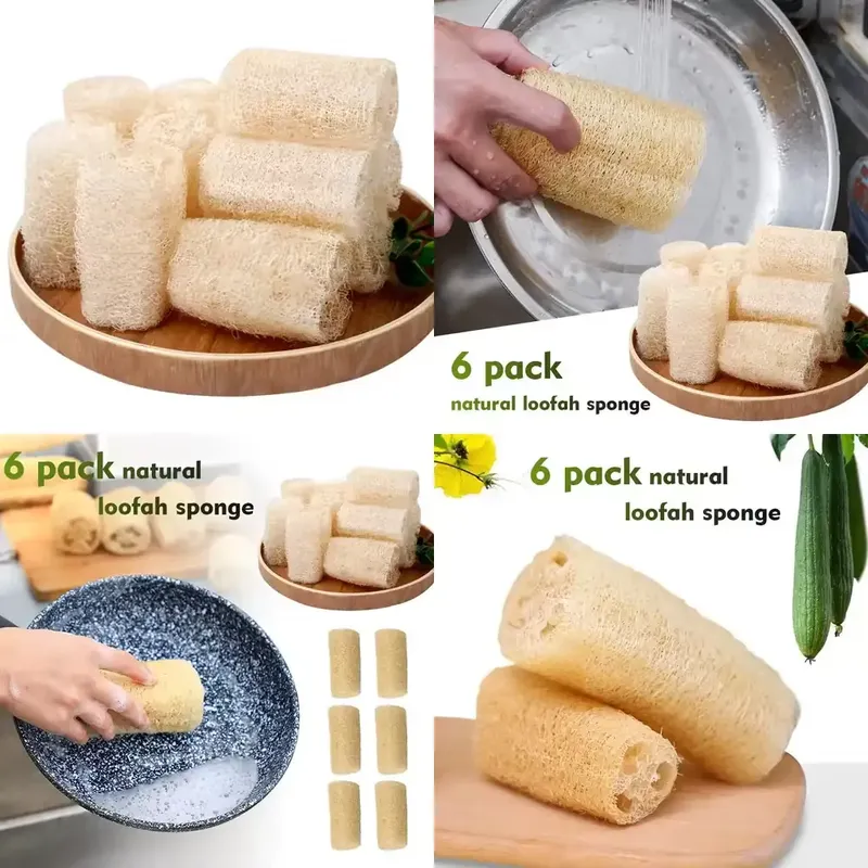 2026 최신 천연 루파 스펀지 설거지 브러쉬 친환경  - Eco Sponge 리뷰 및 가격