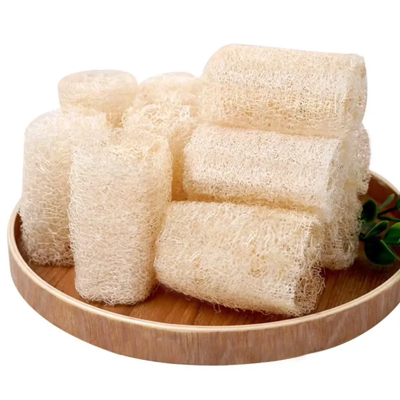 2026 최신 천연 루파 스펀지 설거지 브러쉬 친환경  - Eco Sponge 리뷰 및 가격