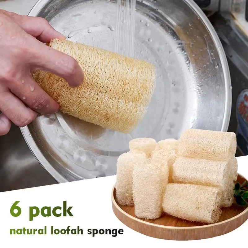2026 최신 천연 루파 스펀지 설거지 브러쉬 친환경  - Eco Sponge 리뷰 및 가격