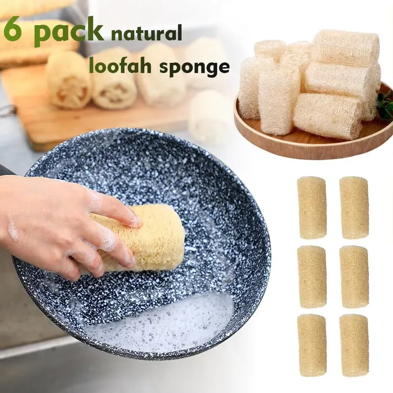 2026 최신 천연 루파 스펀지 설거지 브러쉬 친환경  - Eco Sponge 리뷰 및 가격